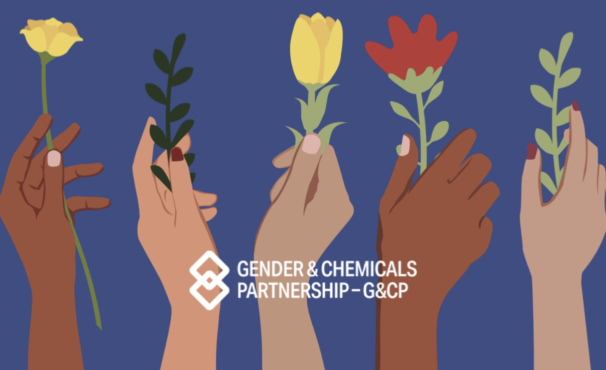 Introduction to the Gender &amp; Chemicals Partnership