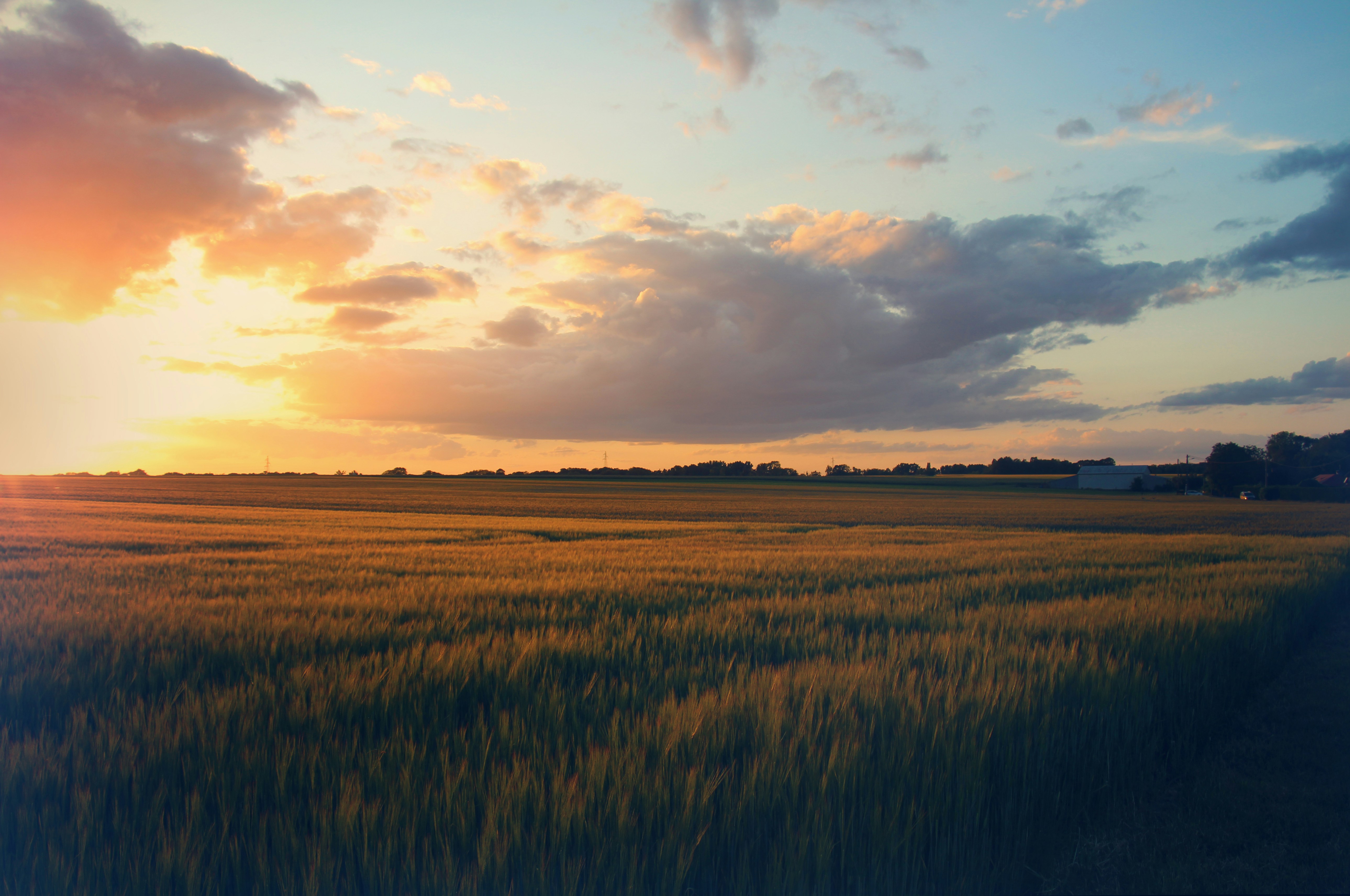 Suppliers RtZ: Process Focus Area Videos